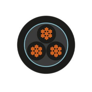 Conductor de Control N2XOH - Clase 5